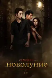 Сумерки 2